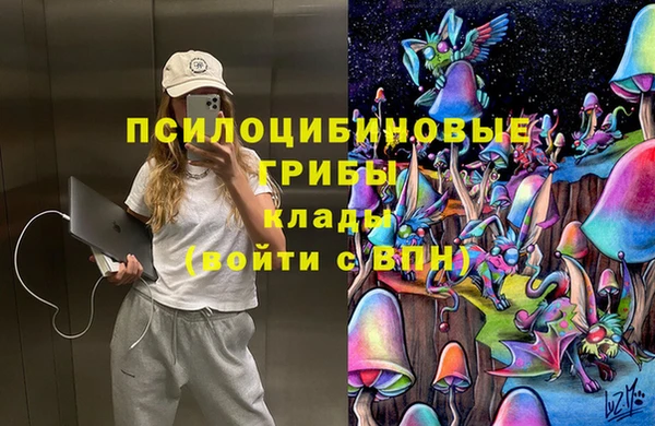 ECSTASY Алексеевка